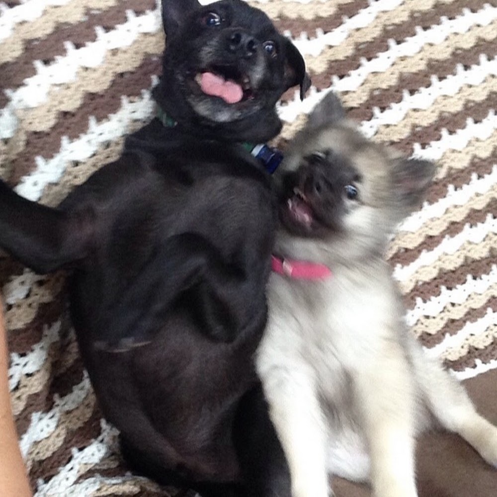 Meet your Posher, Courtney